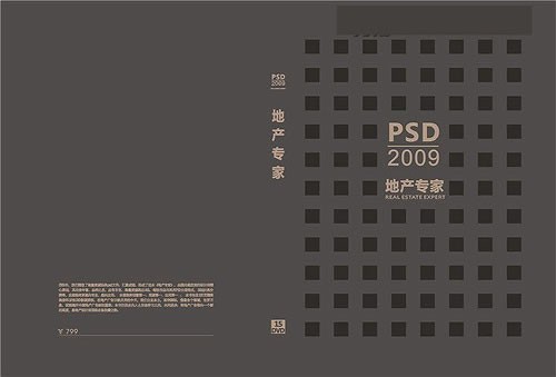 PSD2009地产专